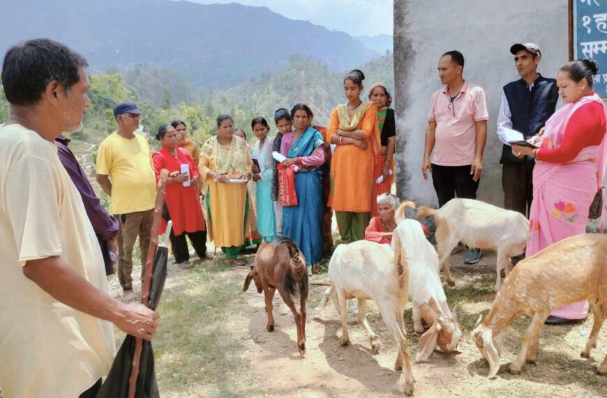 विपन्नलाई आयआर्जनमा सहयोग गर्दै दशरथचन्द नगरपालिका