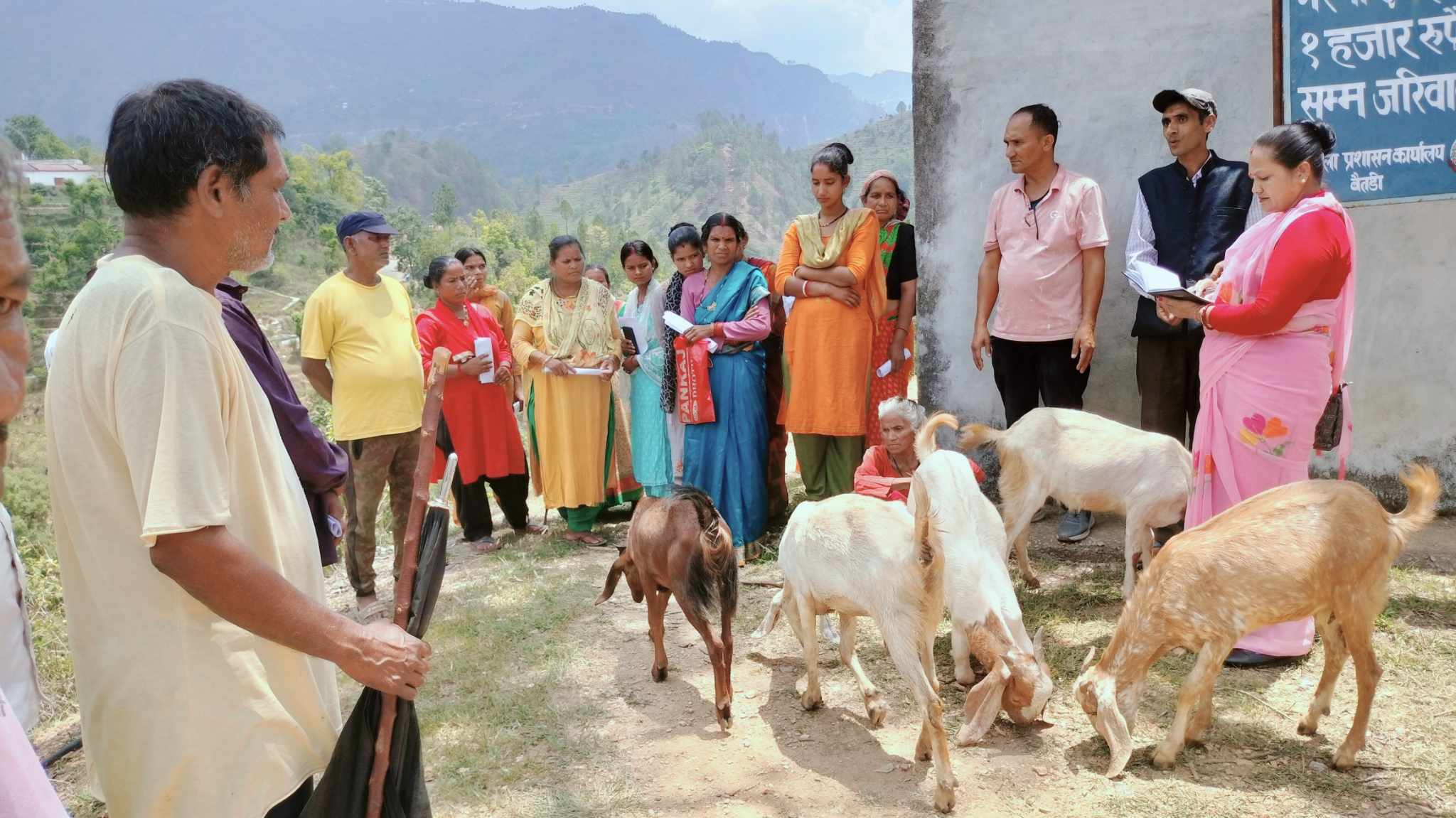 विपन्नलाई आयआर्जनमा सहयोग गर्दै दशरथचन्द नगरपालिका