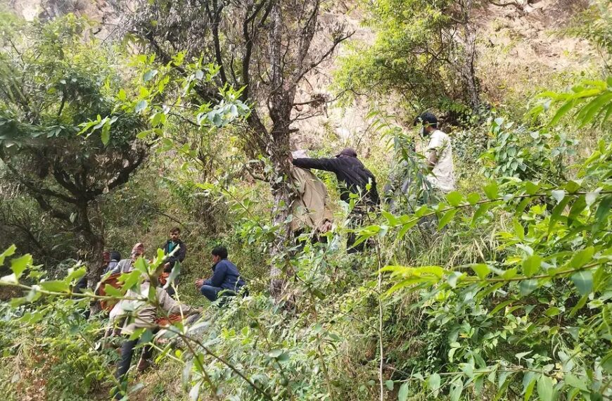 बैतडीमा बोकाले लडाउदा महिलाको मृत्यु