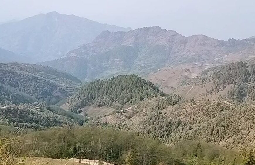 ढाई वर्षभित्र बैतडीबाट बसाइँसरी जानेको संख्या नौ गुणाले बढ्यो