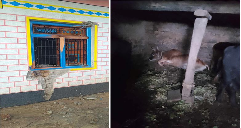 बैतडीमा चट्याङ लागेर चार जना घाइते, ७ चौपाया मरे