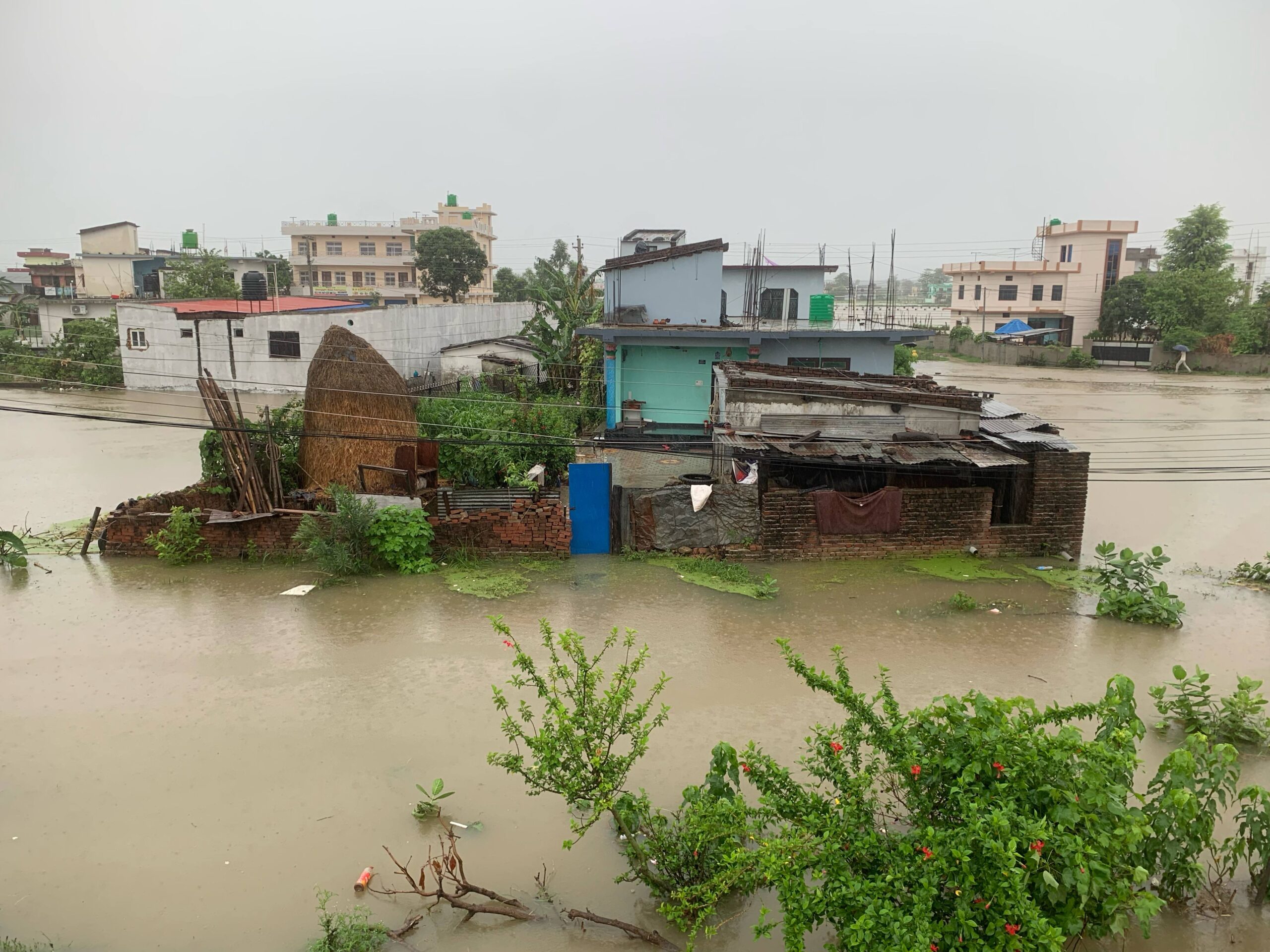 धनगढीका झन्डै एक हजार घर डुबानमा, ८ जनाको उद्धार