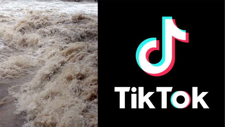 अब टिकटकले बाढीको सूचना दिने