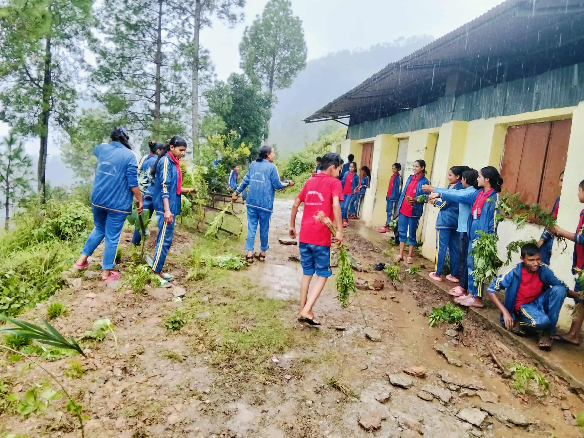 केदार आधारभुत विद्यालय परिसरमा वृक्षारोपण