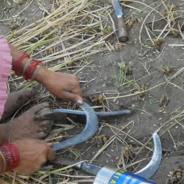 कञ्चनपुरमा एक पुरुषले आफ्नै घांटी रेटे
