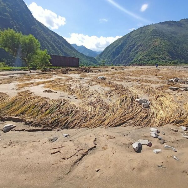 बाढीले पाँच करोडको धान नष्ट