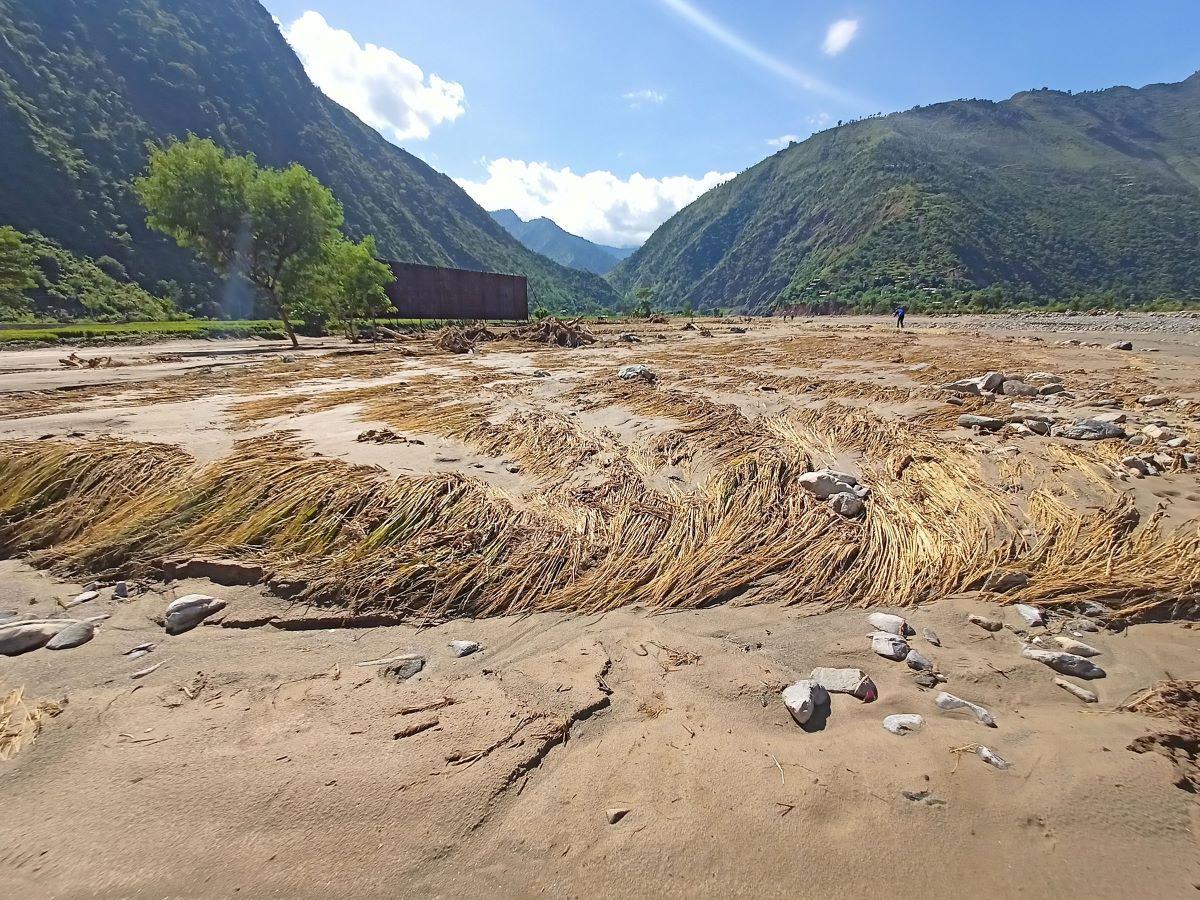 बाढीले पाँच करोडको धान नष्ट