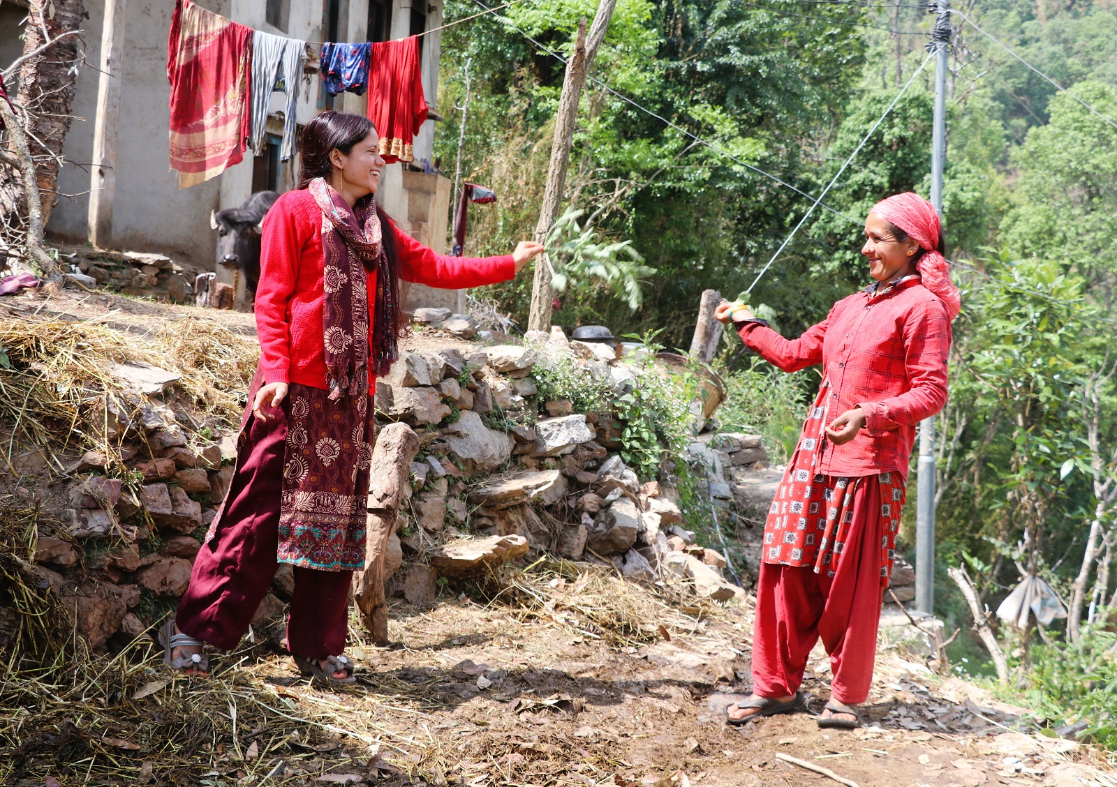 सुदूरमा बिसुको रौनक, सिस्नो लगाएर मनाइदै बिसु