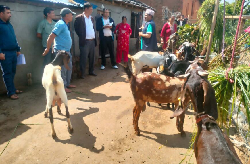 भेटेरिनरी अस्पताल तथा पशुसेवा विज्ञ केन्द्रका अनुदानका कार्यक्रमको अनुगमन