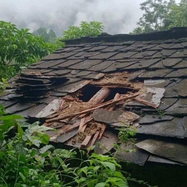 चोरीको आरोपमा दशरथचन्द नगरकार्यपालिका सदस्यसहित चार जना पक्राउ