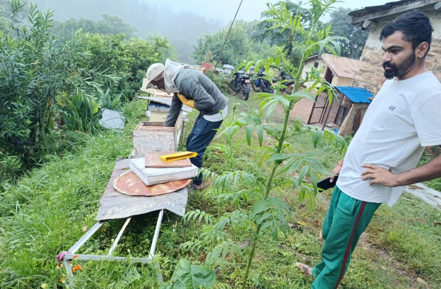 बैतडीमा भालुले मौरीका घारमा क्षति गर्दा किसानलाई ५ लाखभन्दा बढीको नोक्सानी
